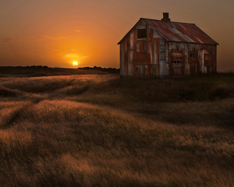 September Sun