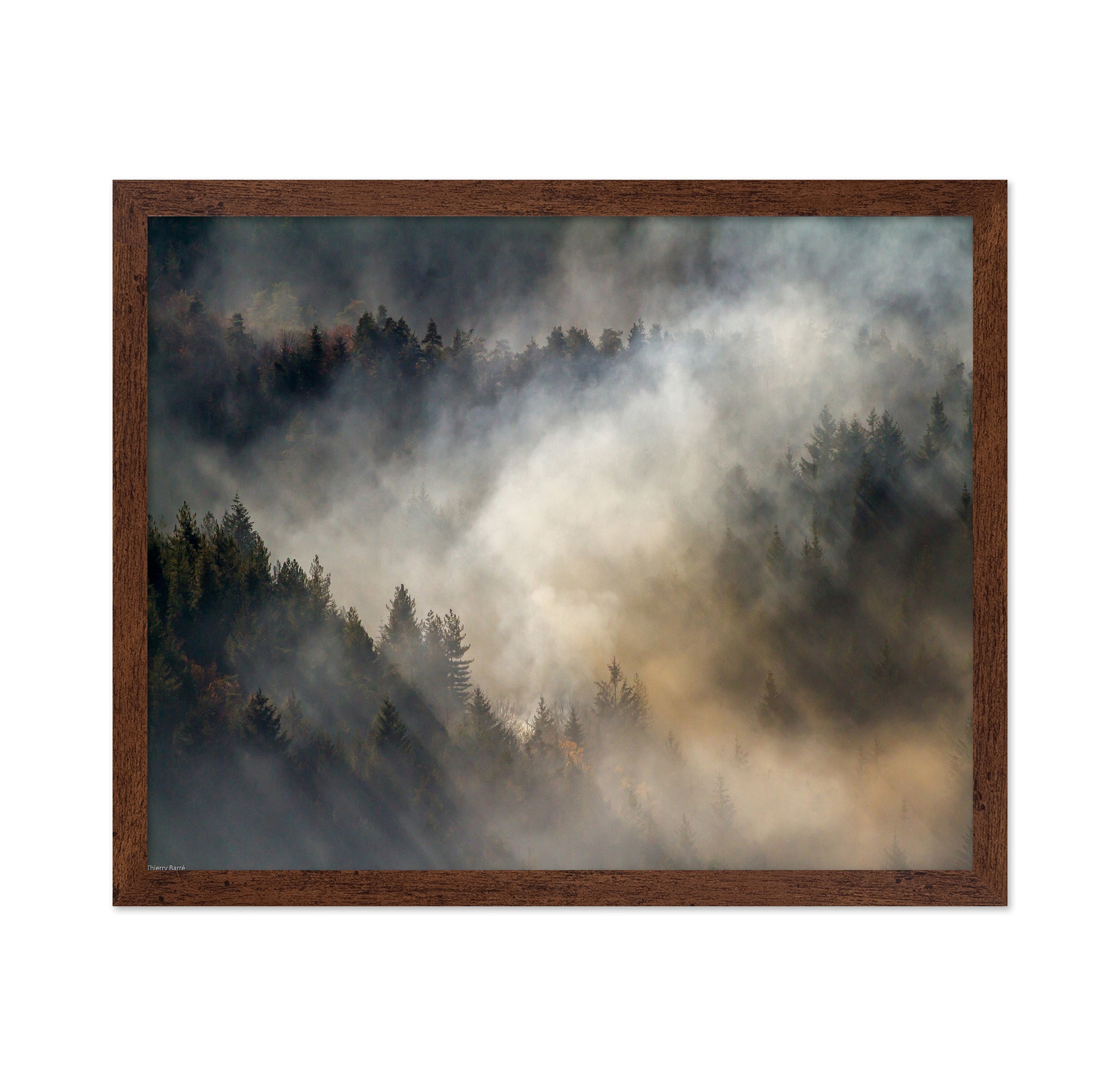 Misty Forest No1
