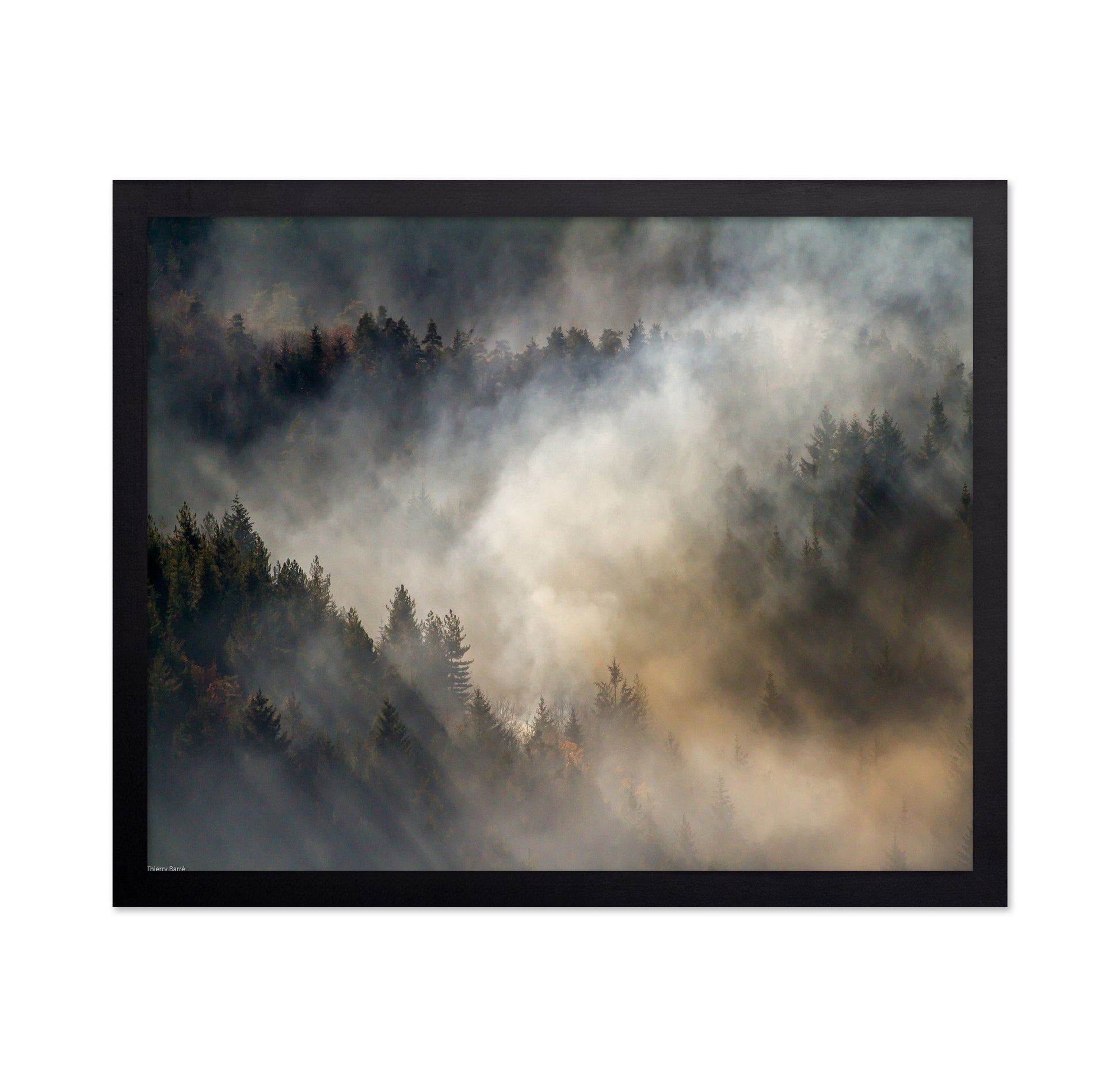 Misty Forest No1