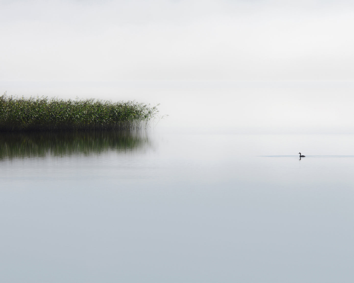 The Lone Fisher