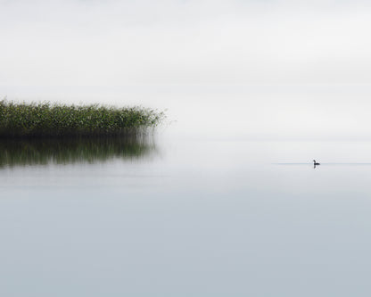 The Lone Fisher
