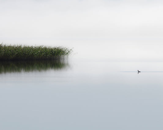The Lone Fisher