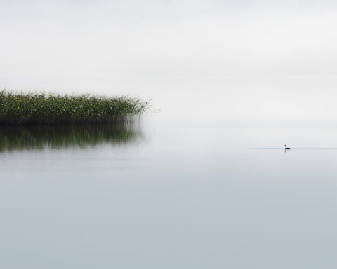 The Lone Fisher