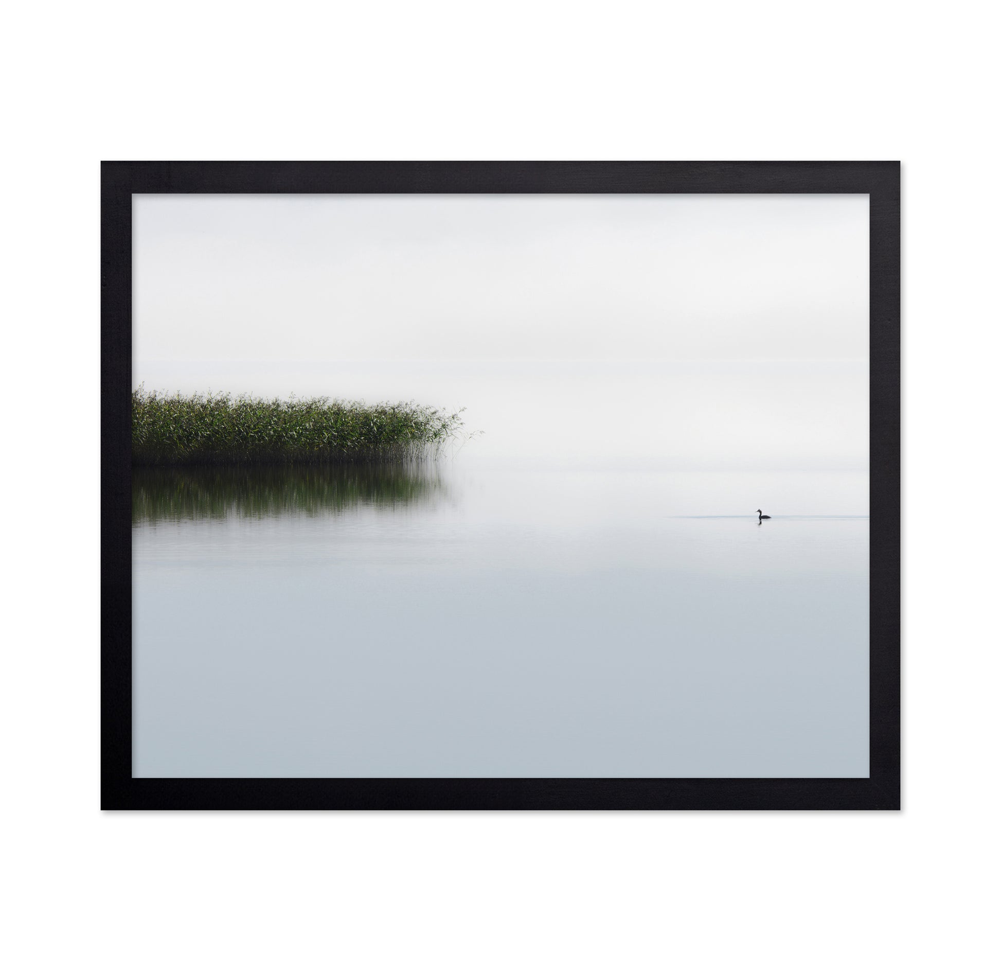 The Lone Fisher
