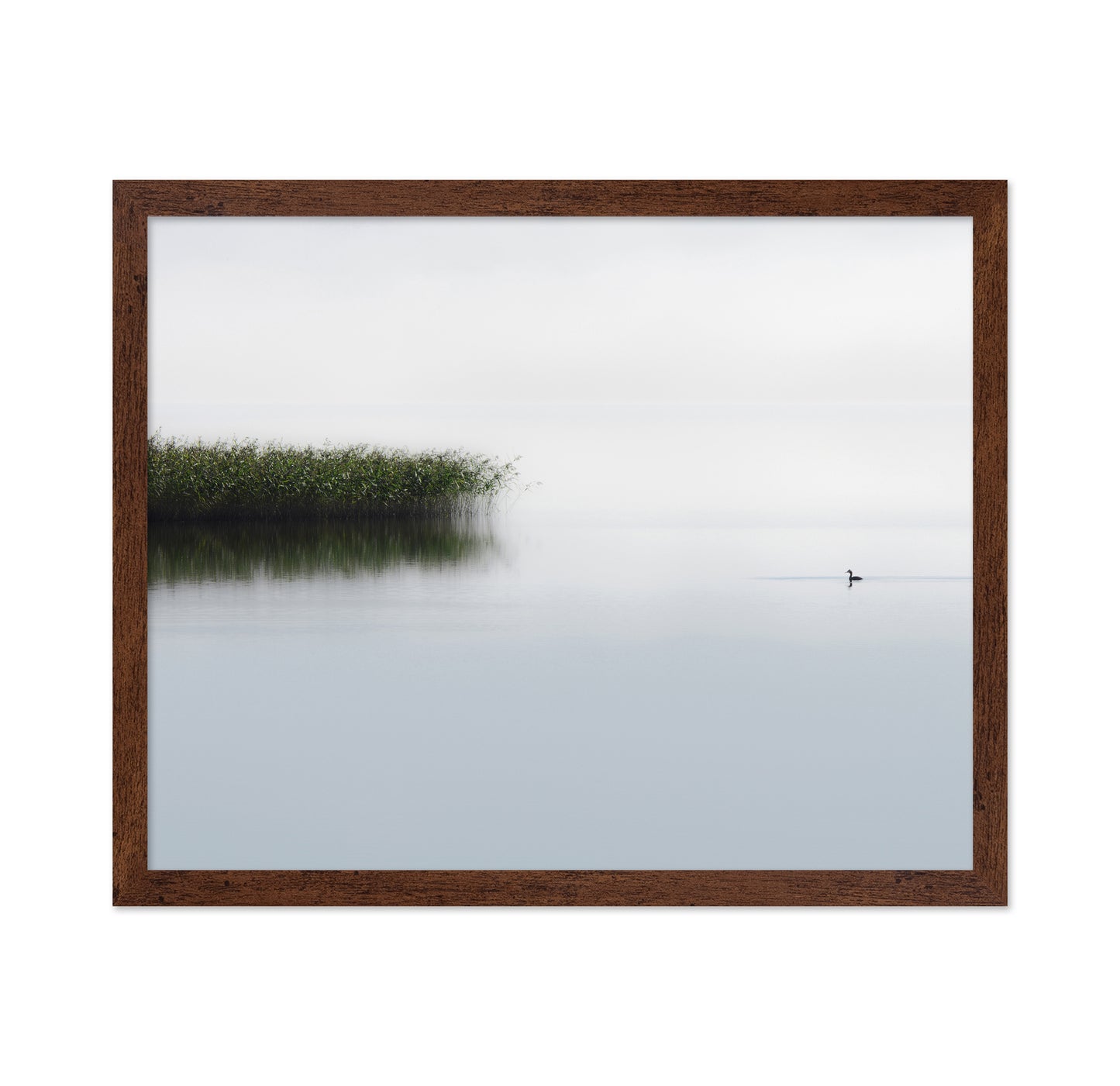 The Lone Fisher