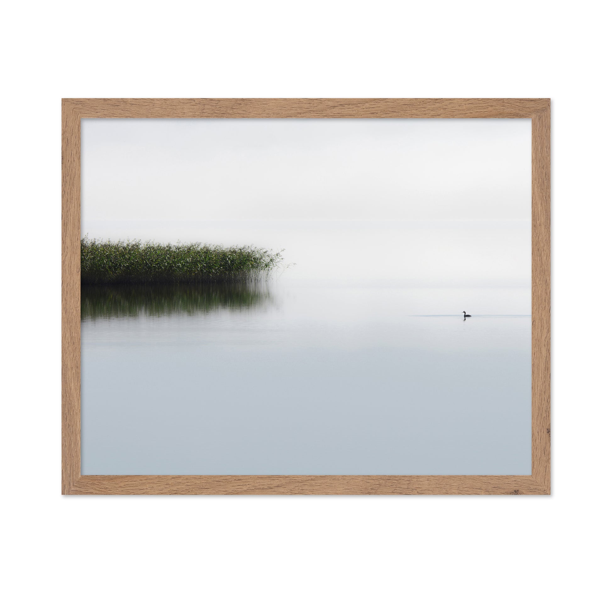 The Lone Fisher