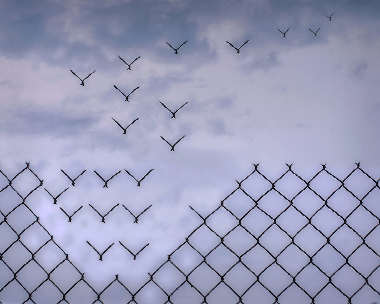 Don't Fence Me In
