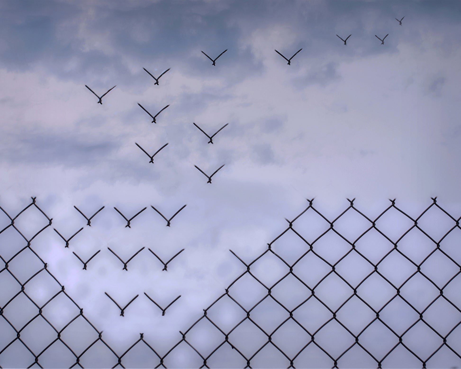 Don't Fence Me In