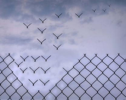 Don't Fence Me In