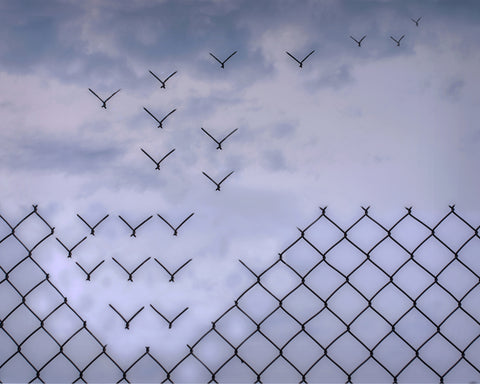 Don't Fence Me In