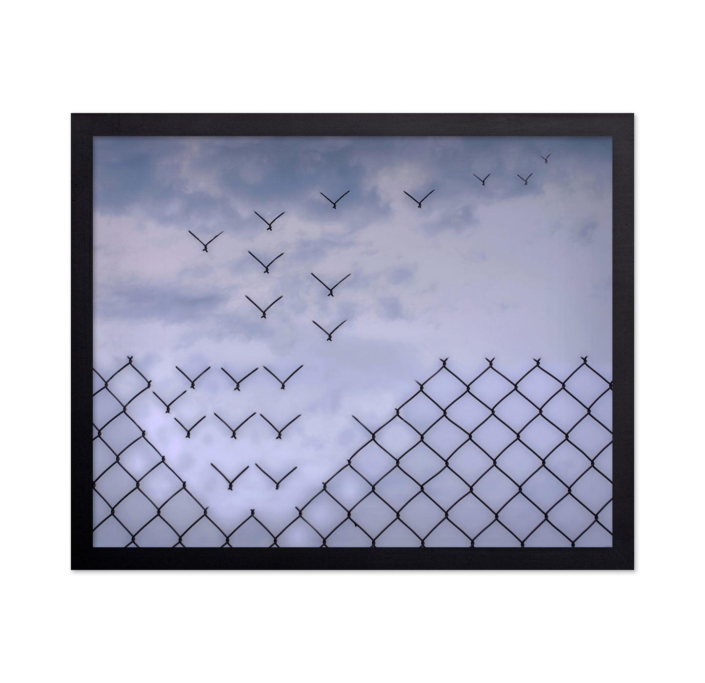 Don't Fence Me In