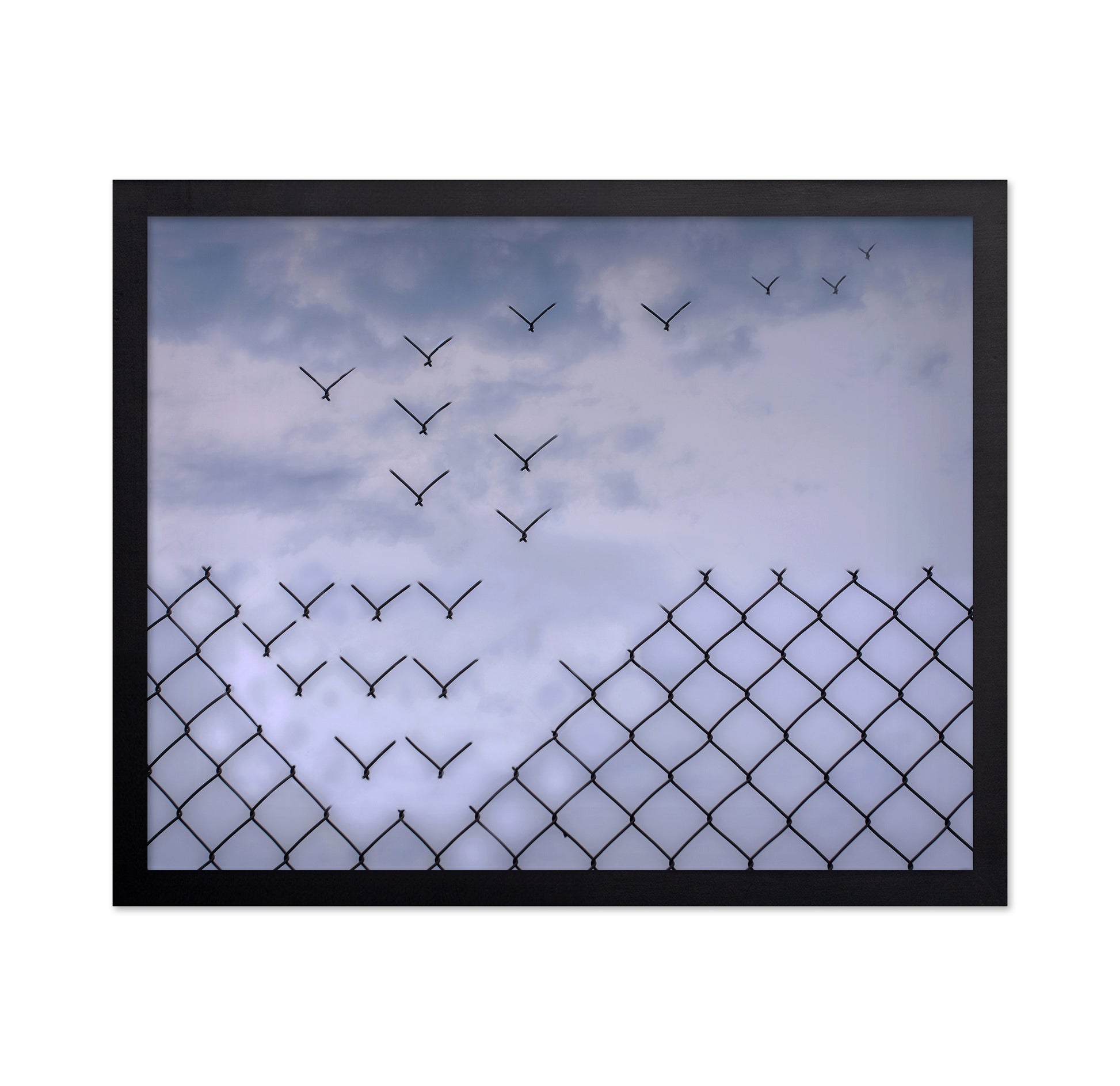 Don't Fence Me In