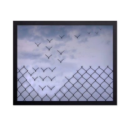 Don't Fence Me In