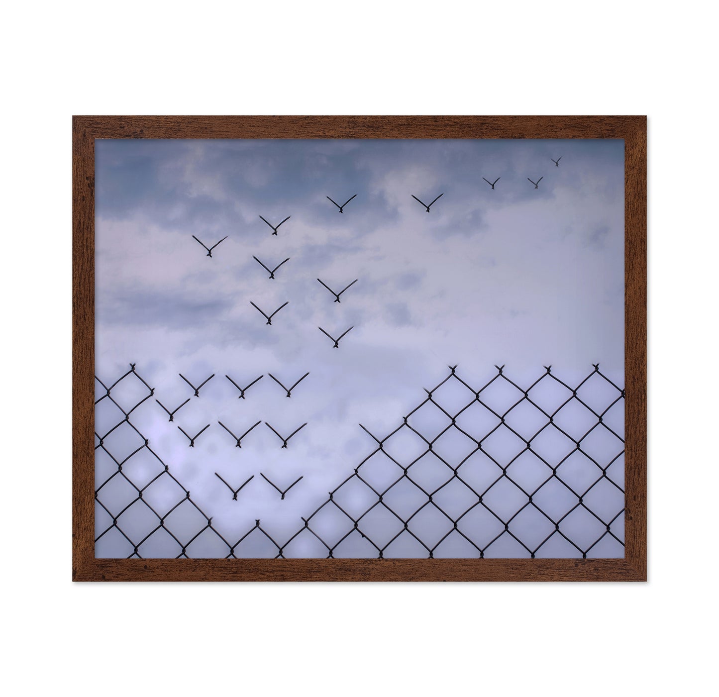 Don't Fence Me In