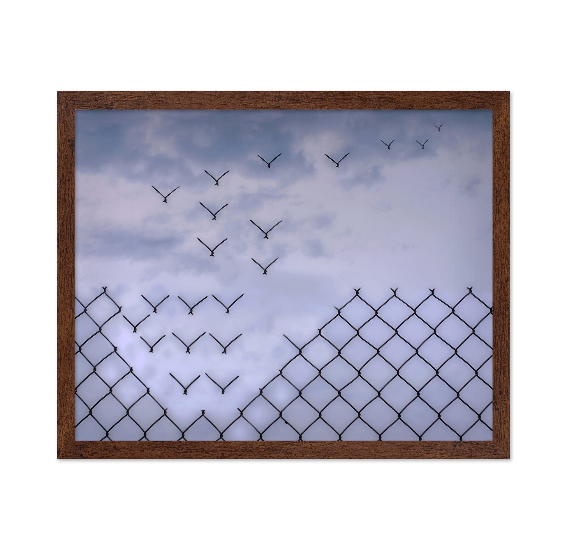 Don't Fence Me In
