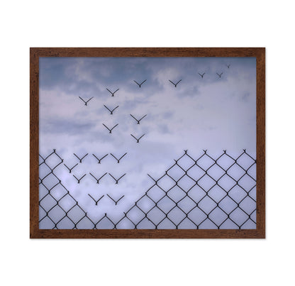 Don't Fence Me In