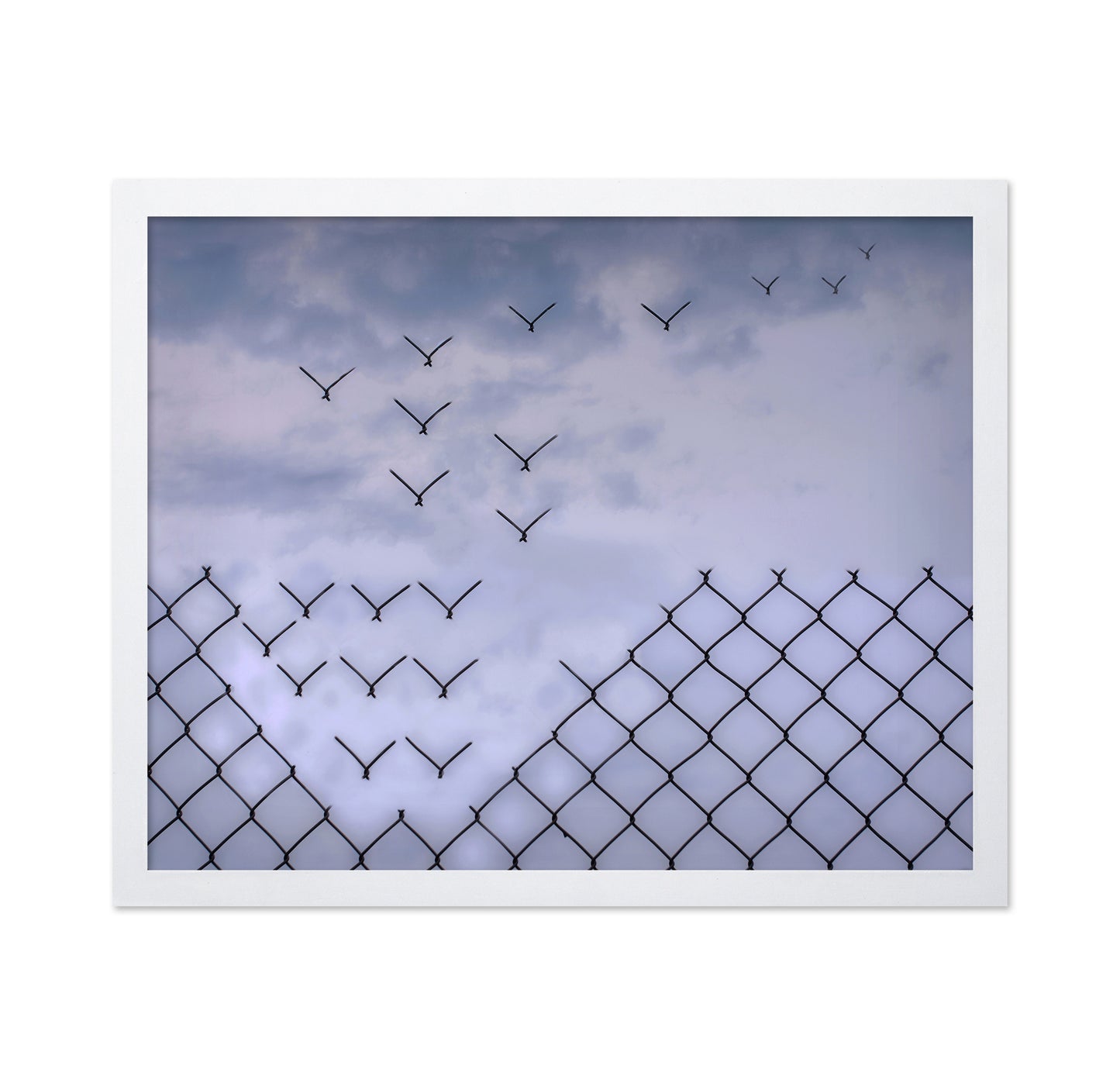 Don't Fence Me In