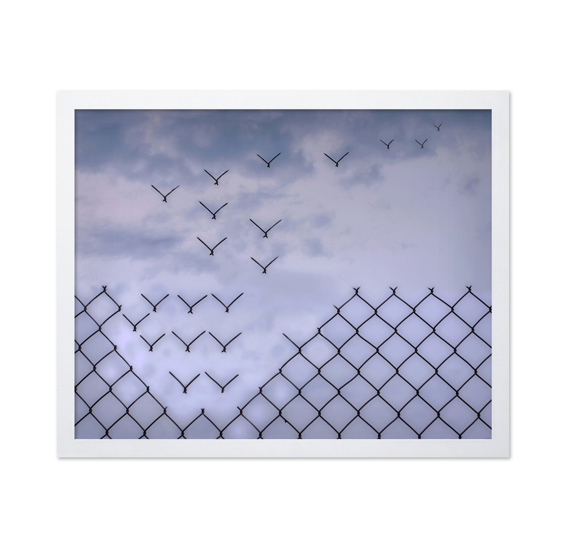 Don't Fence Me In