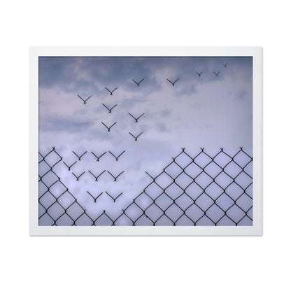 Don't Fence Me In