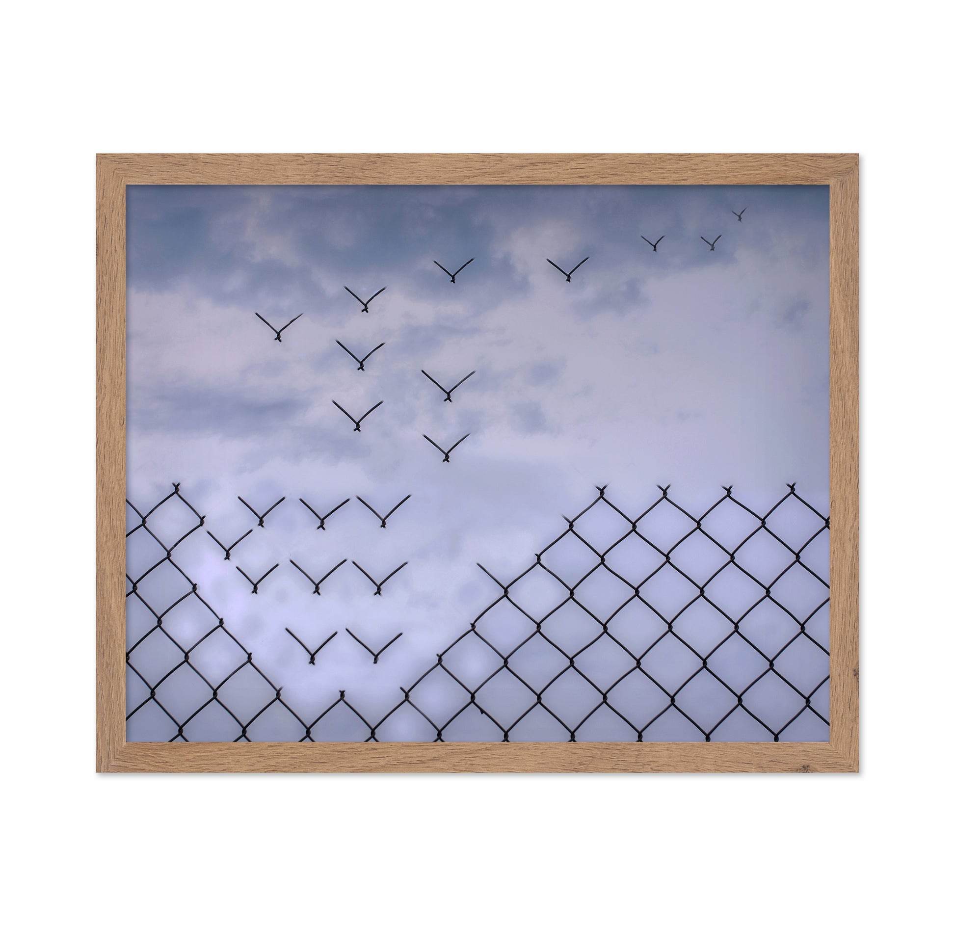 Don't Fence Me In