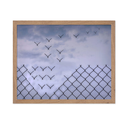 Don't Fence Me In