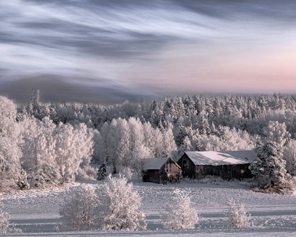 Snowy Morning House