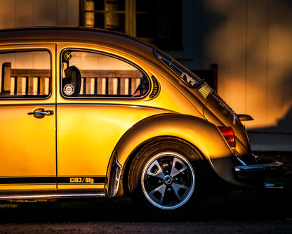 Golden Beetle
