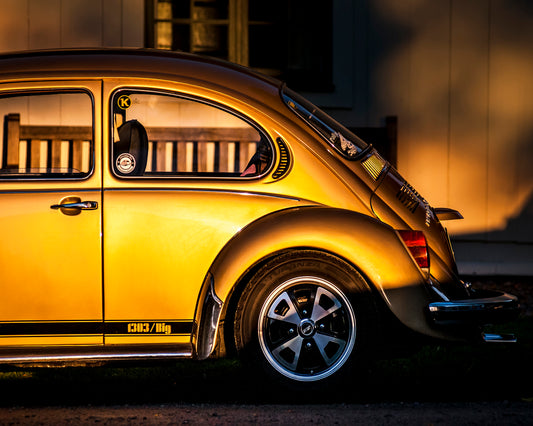 Golden Beetle