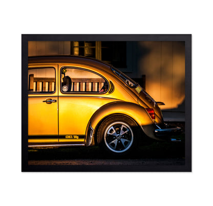 Golden Beetle