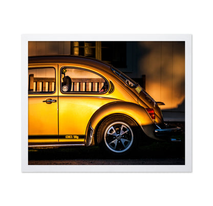 Golden Beetle