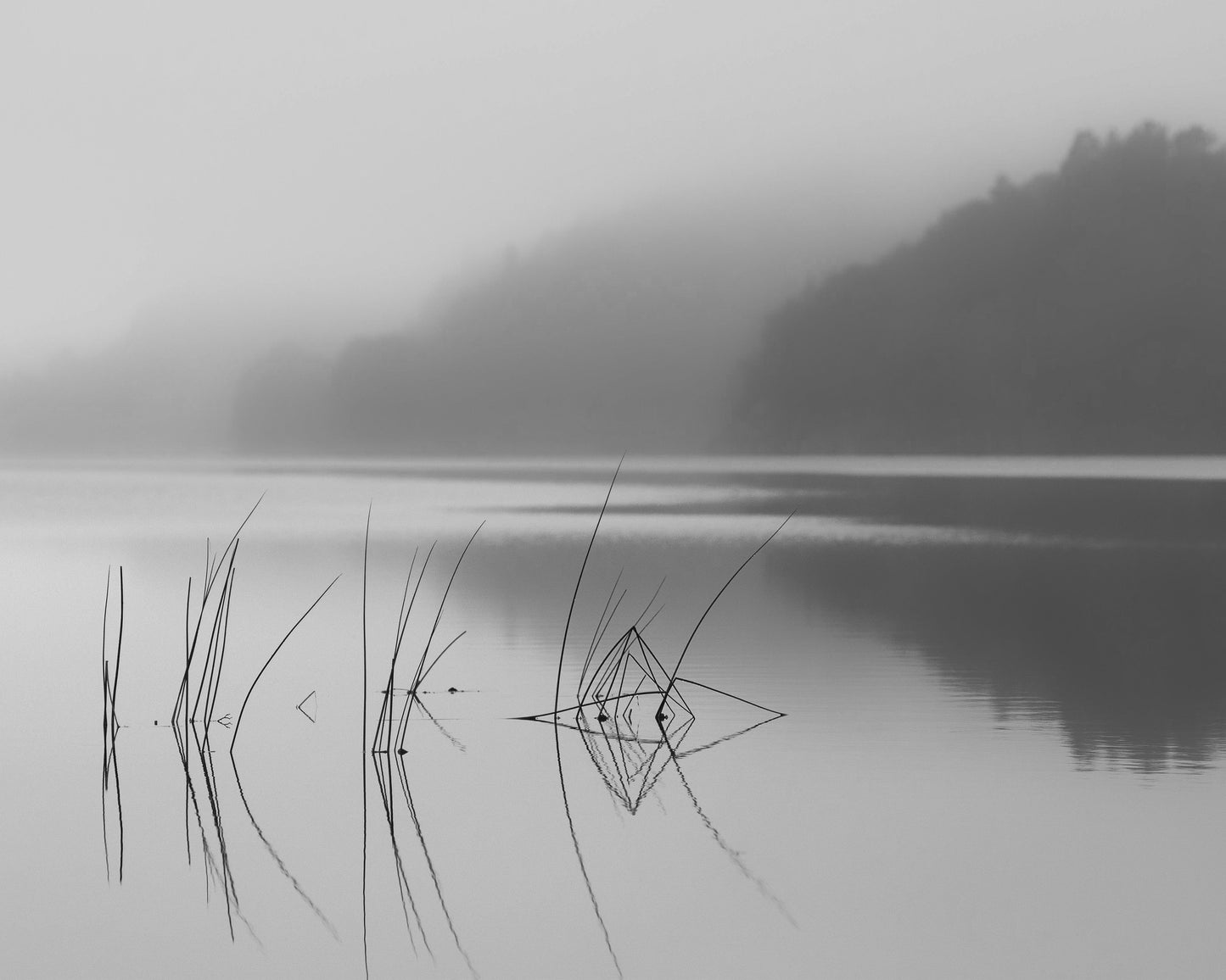 When You Can Hear The Silence