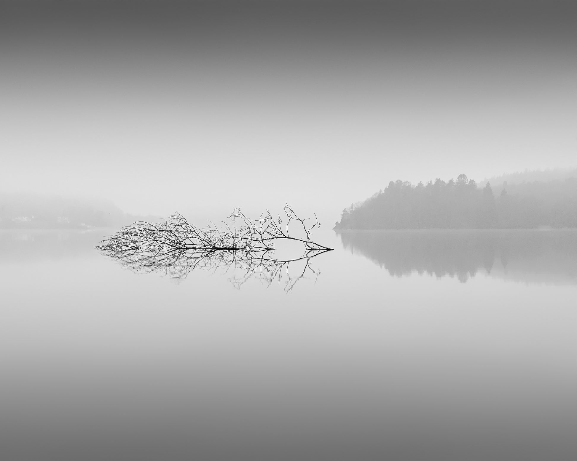 Quiet Morning over Forest Lake