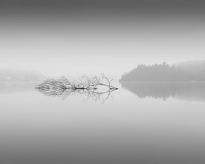 Quiet Morning over Forest Lake