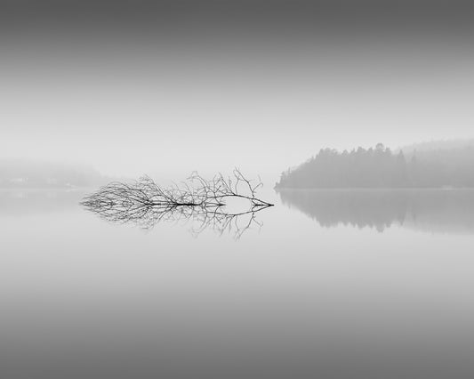 Quiet Morning over Forest Lake