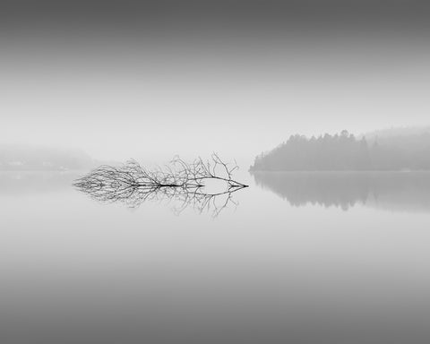 Quiet Morning over Forest Lake