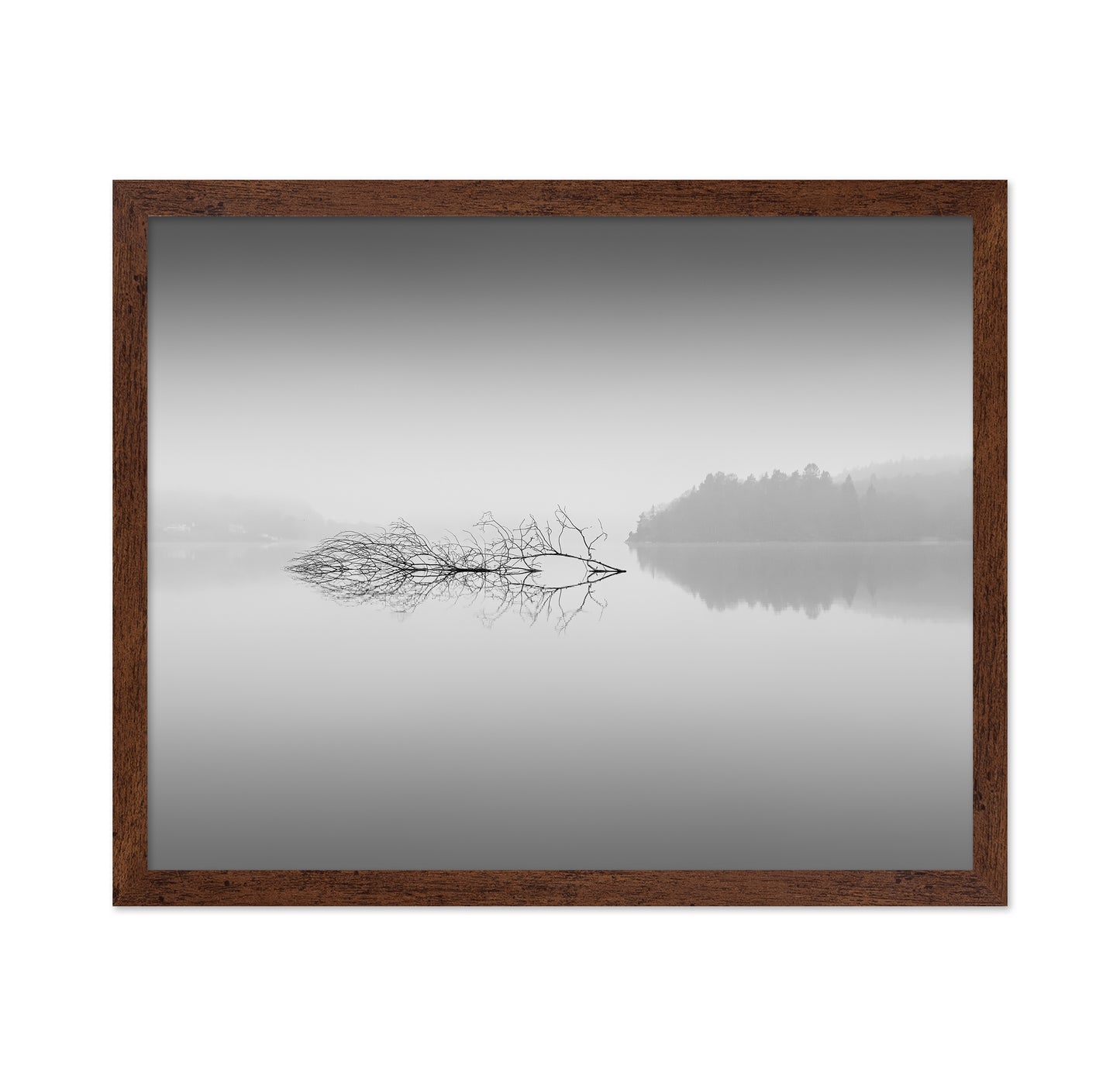 Quiet Morning over Forest Lake