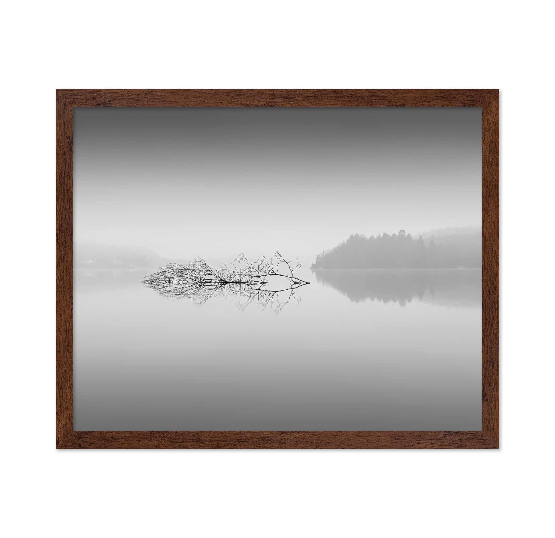 Quiet Morning over Forest Lake