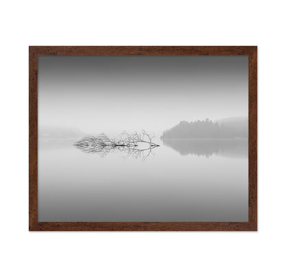 Quiet Morning over Forest Lake