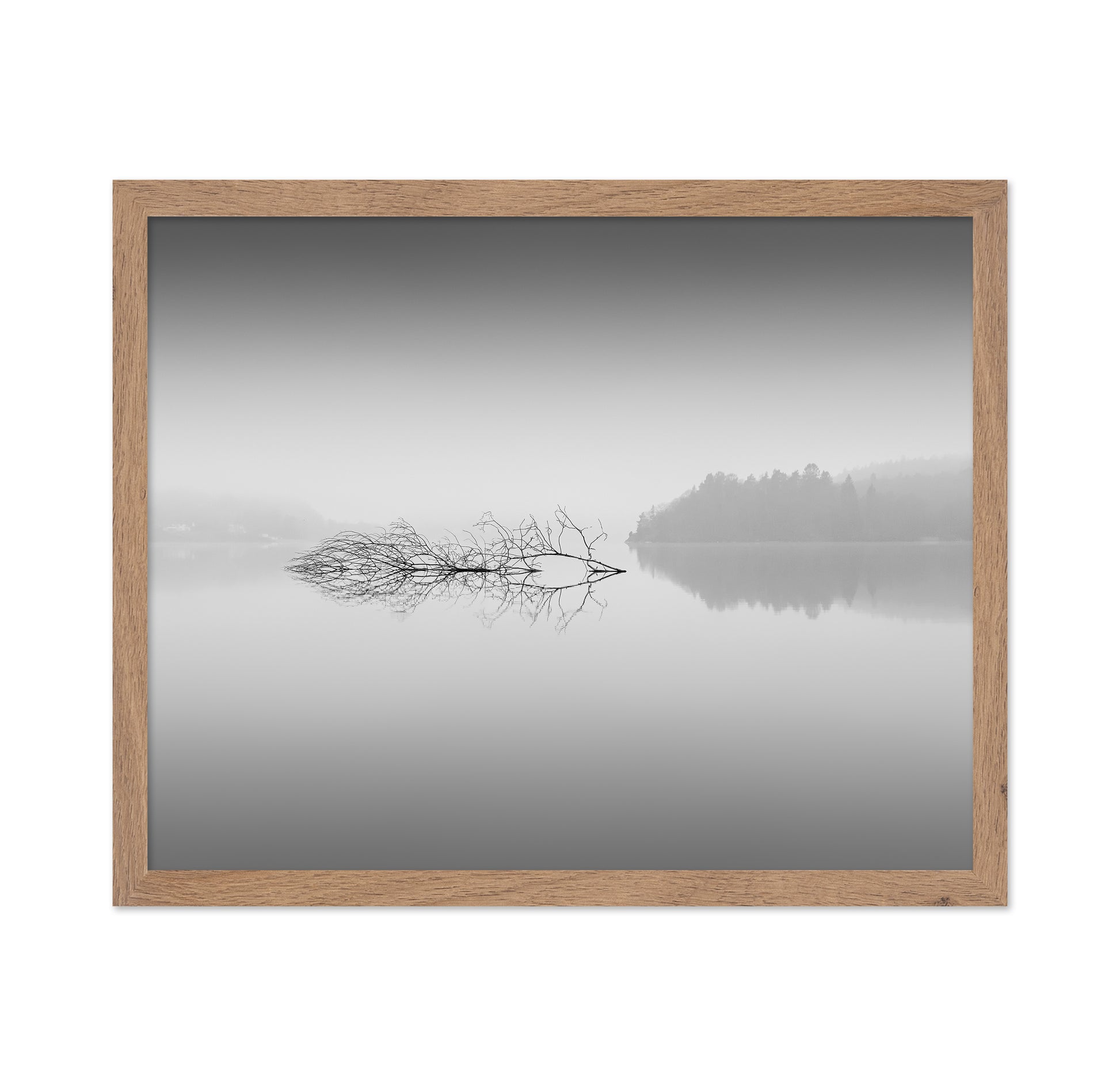 Quiet Morning over Forest Lake