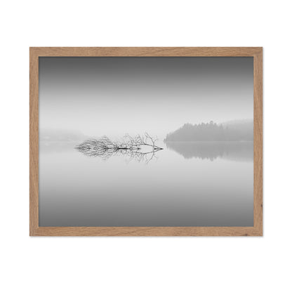 Quiet Morning over Forest Lake