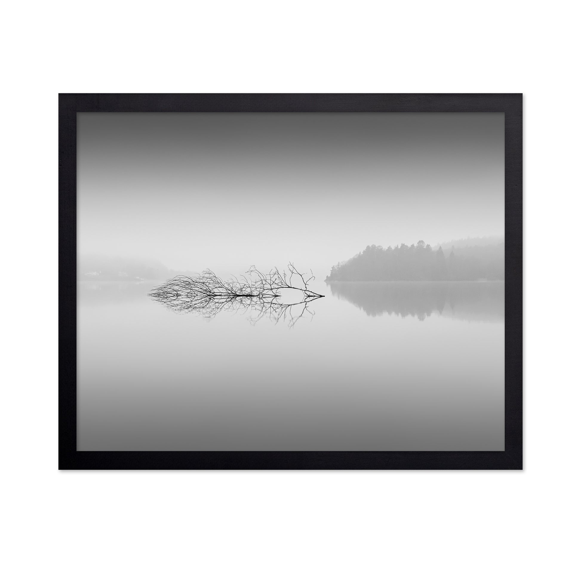 Quiet Morning over Forest Lake