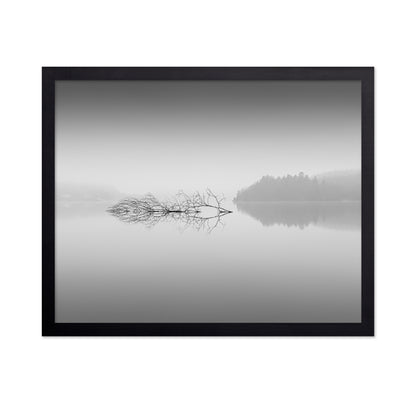 Quiet Morning over Forest Lake
