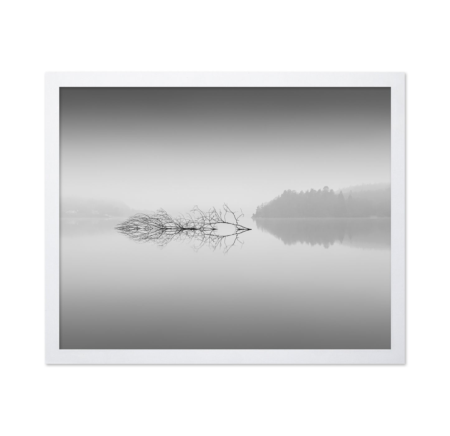 Quiet Morning over Forest Lake