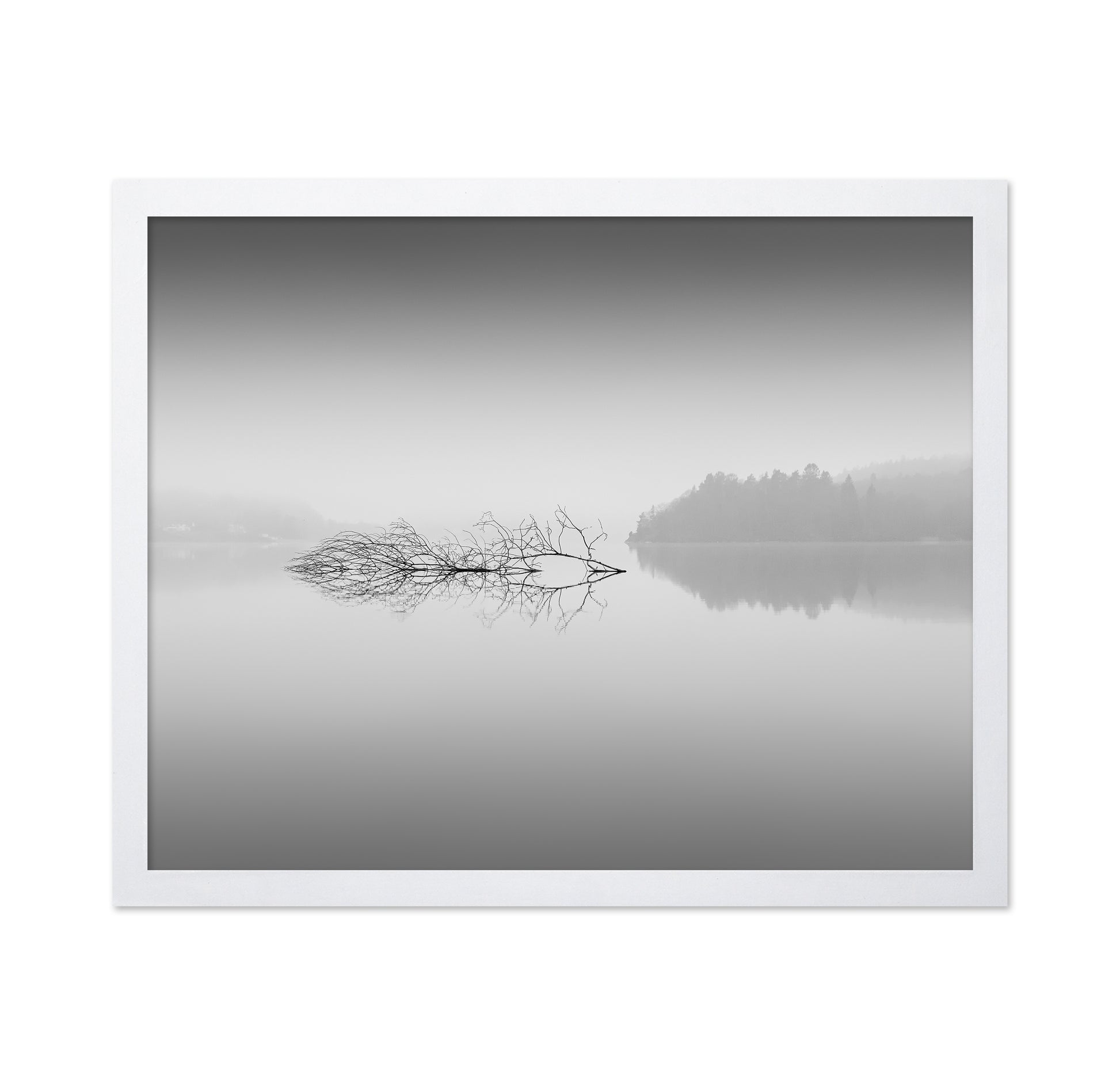 Quiet Morning over Forest Lake