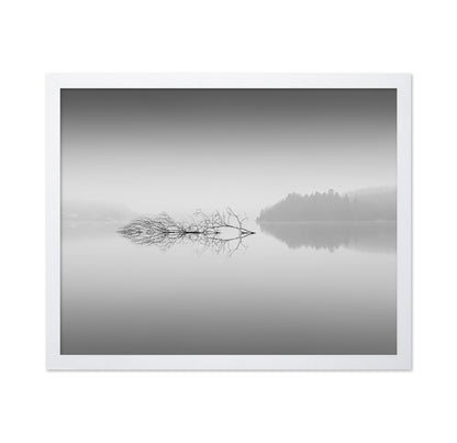 Quiet Morning over Forest Lake