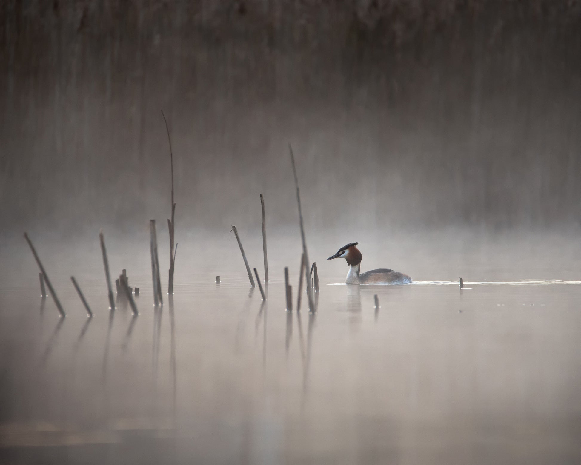 Quiet Morning