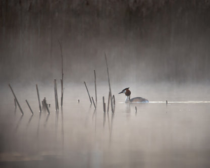 Quiet Morning