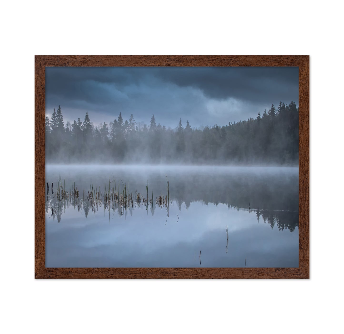 The Morning Fog