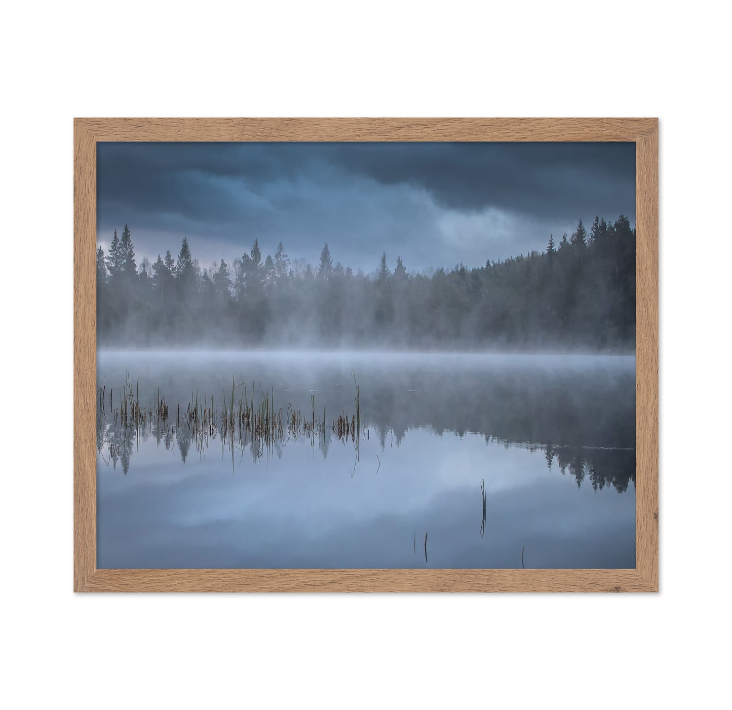 The Morning Fog