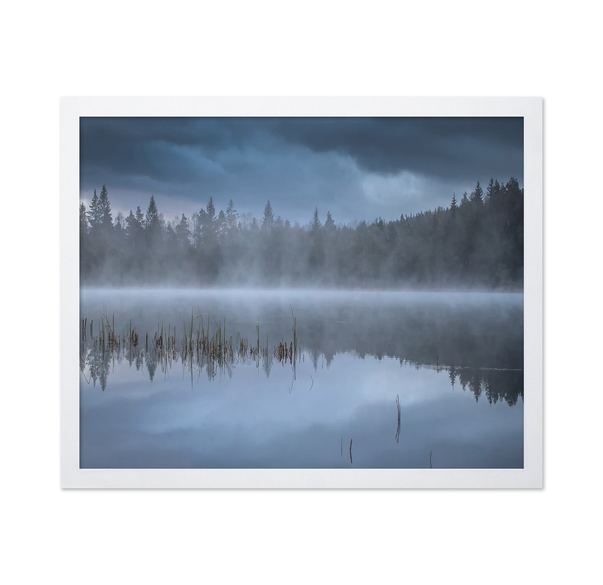 The Morning Fog